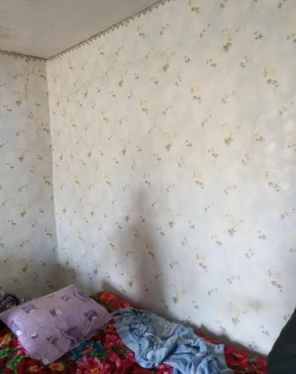 Частина будинку, Драбове Барятинське: ділянка 1 сотка, під ремонт - фото 4