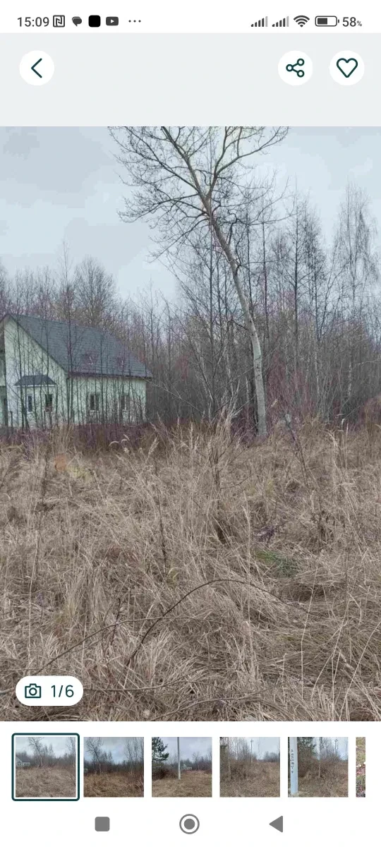 Ділянка 12 соток, Шацьк: між Грядою та Лукою, поруч озеро, фото 1