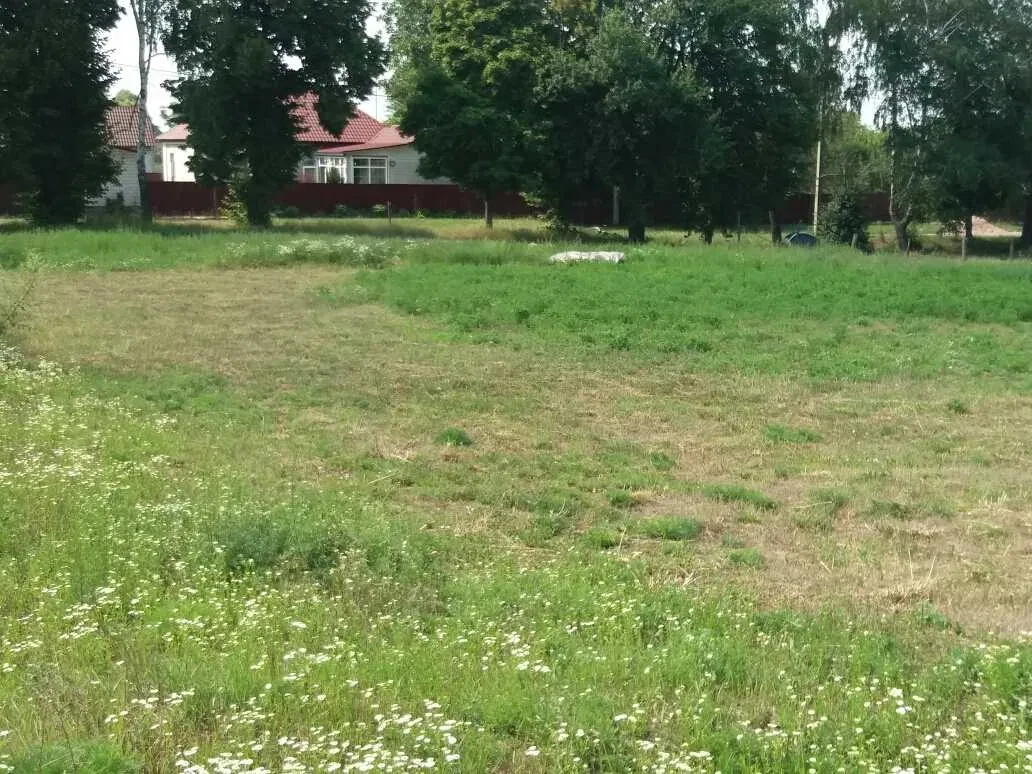 Ділянка 24.60 соток, Рудня: асфальтована дорога, газ - фото 1