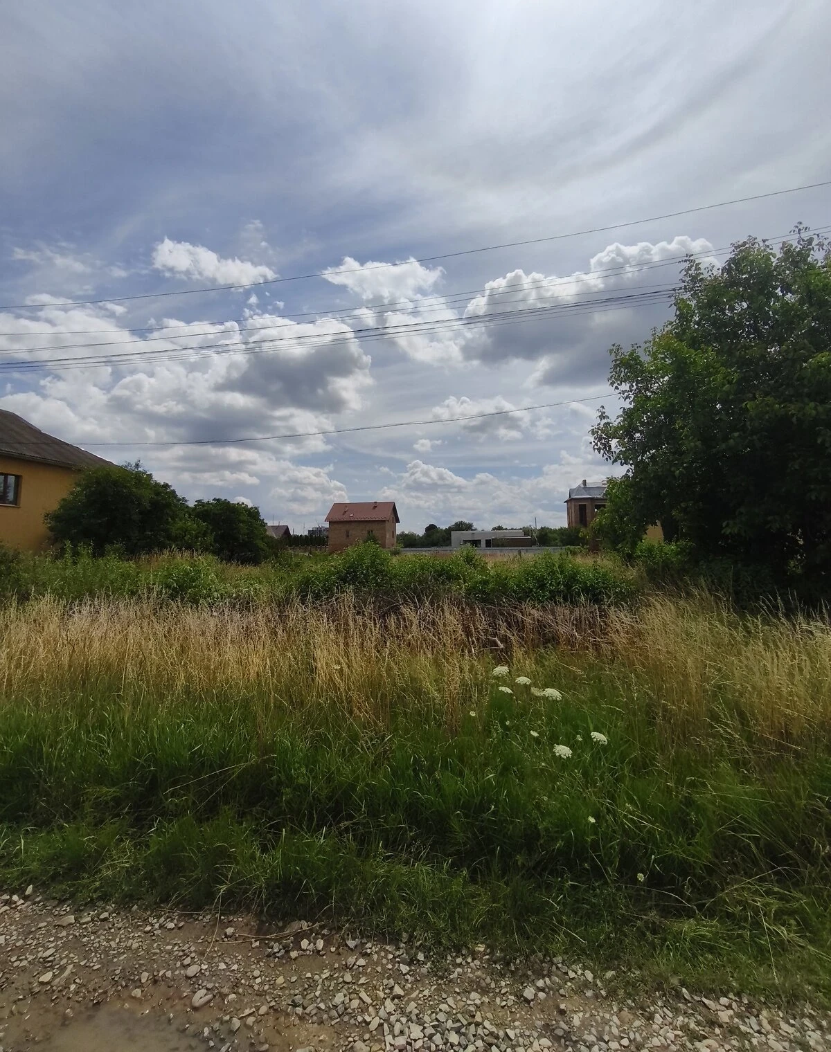 Ділянка 12 соток, Загвіздя: під житлову забудову, сад, рівнинний рельєф - фото 2
