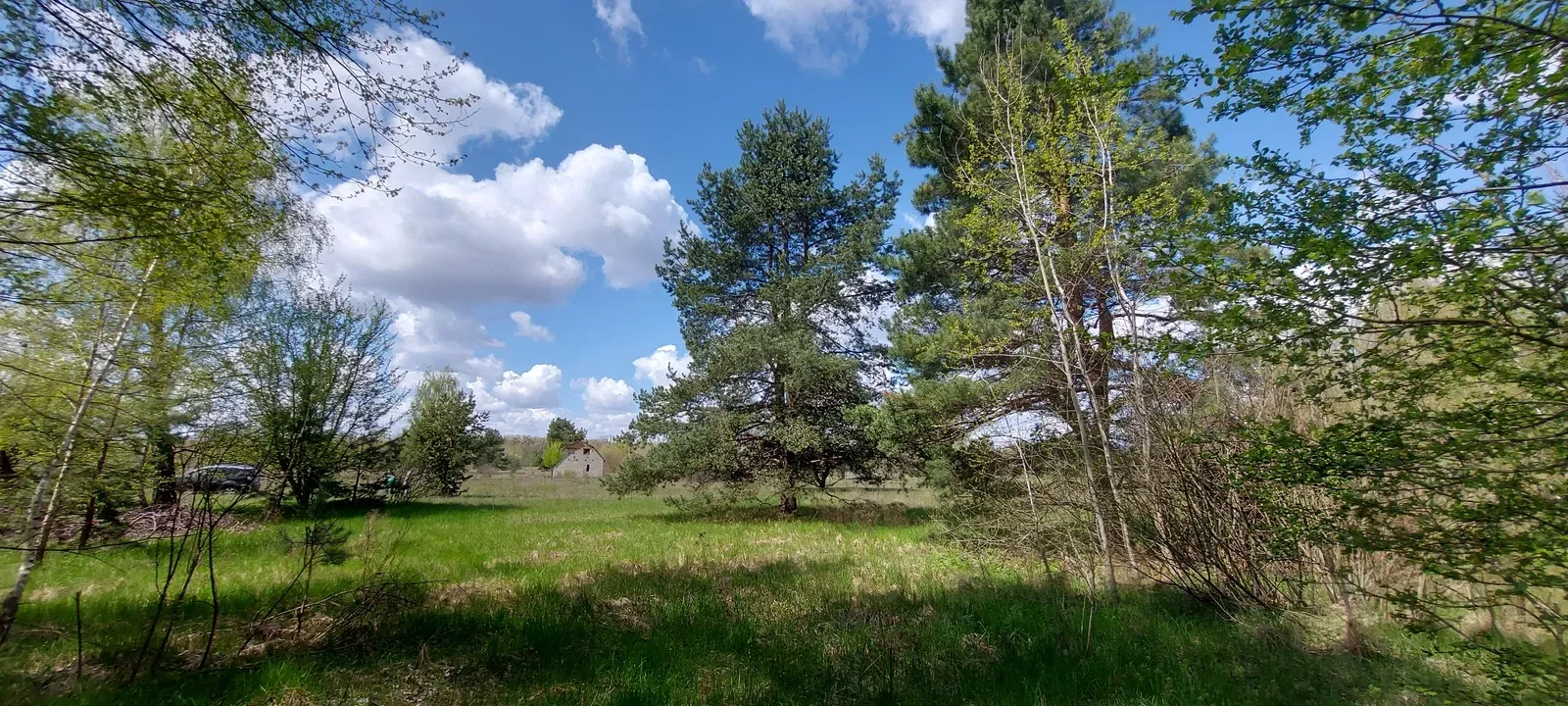 Участок 10 соток, Полтава: сосны, озера рядом, фото 5