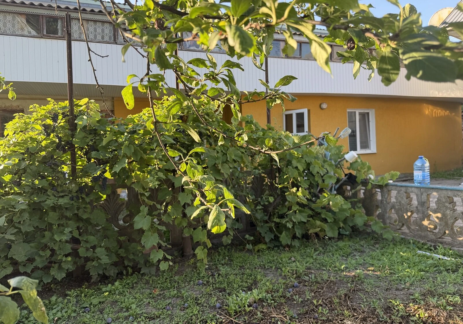 Дом, Балиновка: колодец, участок 20 соток, фото 3