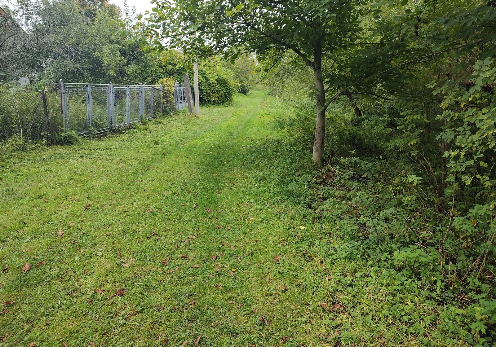 Будинок, Гуменець: криниця, гараж із підвалом, фото 2