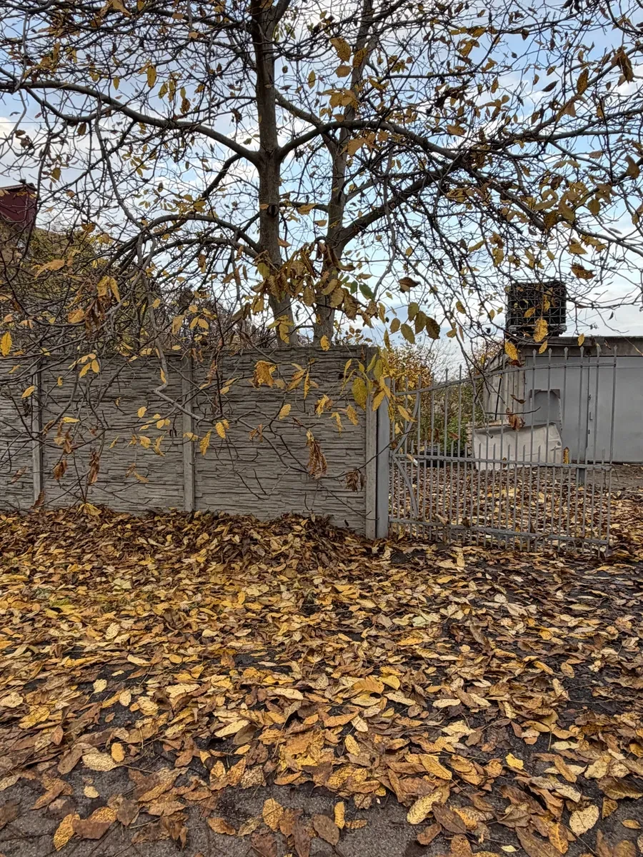 Участок 10 соток, 3-й переулок Гниванского шоссе: электричество, колодец, фото 5