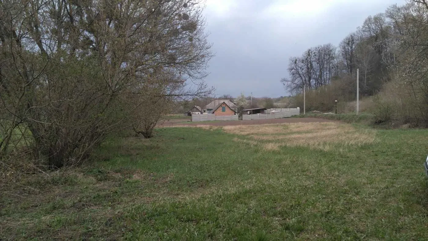 Ділянка 47 соток, Мала Вільшанка: під забудову, асфальтована дорога, фото 1