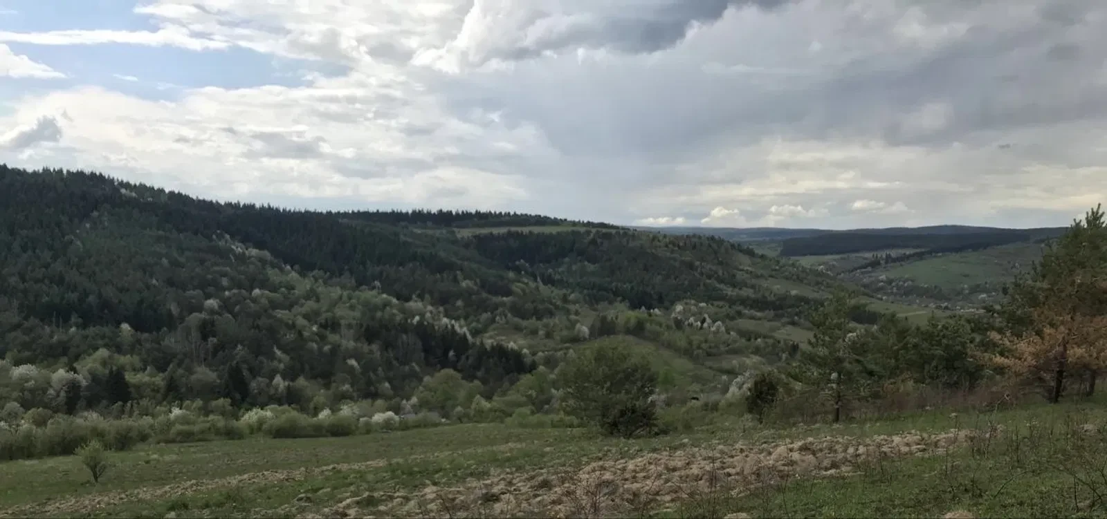 Ділянка 650 соток, Княжпіль: під базу відпочинку, обмін - фото 5