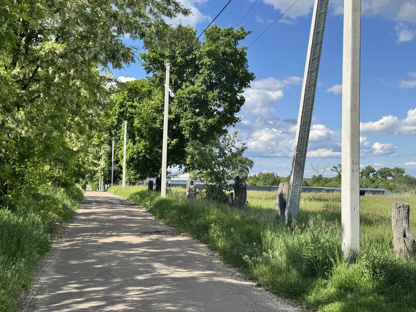 Ділянка 24 соток, Мироцьке: під промисловість, електрика - фото 3