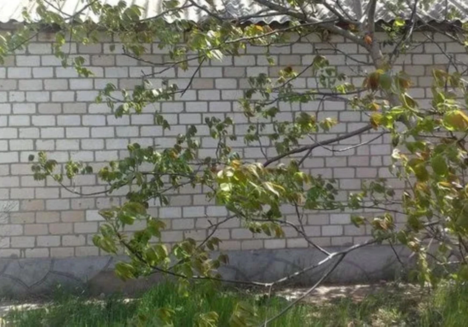Дом, Вознесенск: сад, огород, скважина - фото 3