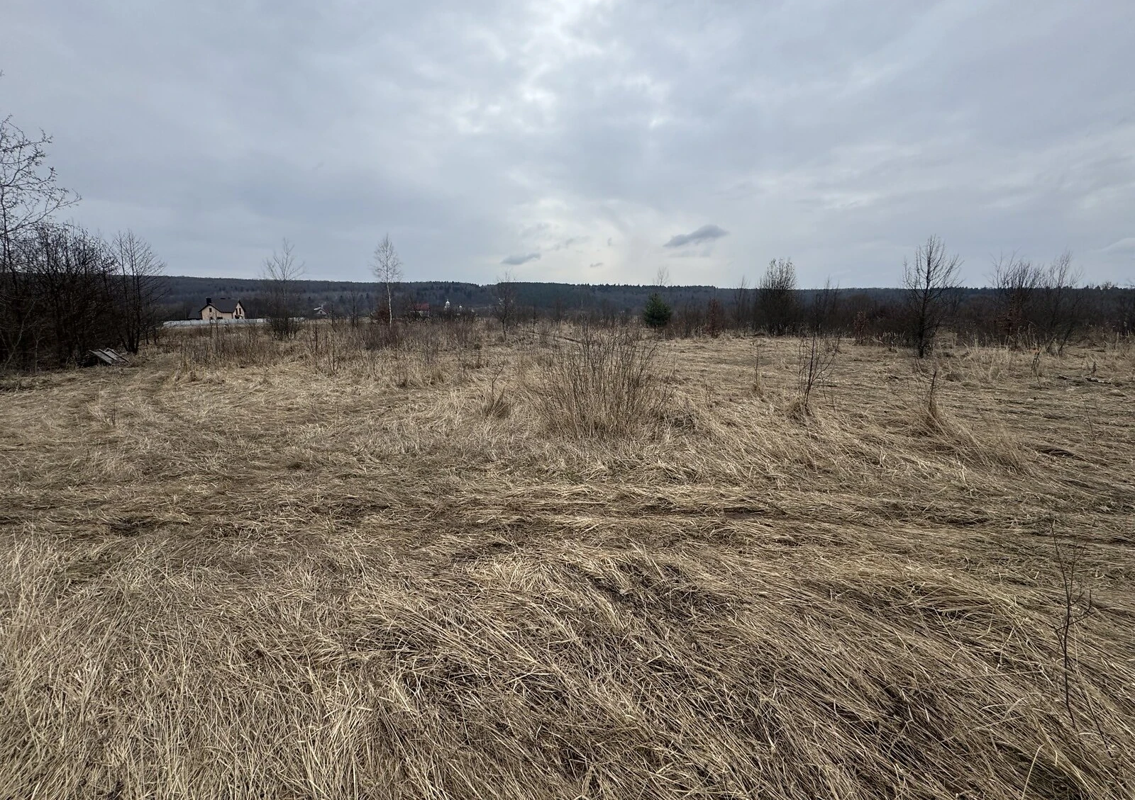Ділянка 14 соток, Рибне (Тисмениця): під житлову забудову, гараж - фото 2