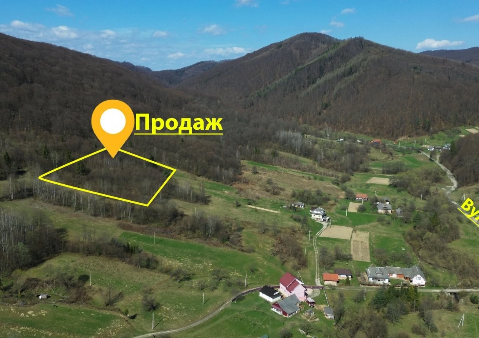 Ділянка 50 соток, Слобода (Коломия): сільськогосподарська - фото 1