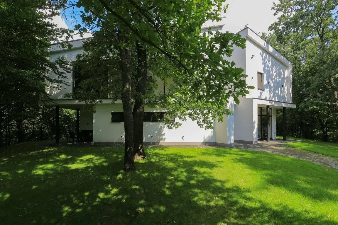 Будинок, Нові Петрівці: бомбосховище за ДБН, генератор - фото 2