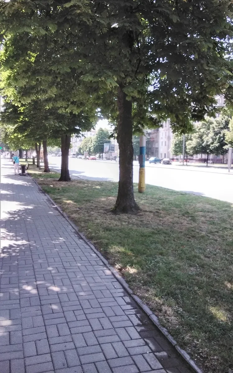1-комнатная квартира, Вознесеновский: под ремонт, окна во двор - фото 2