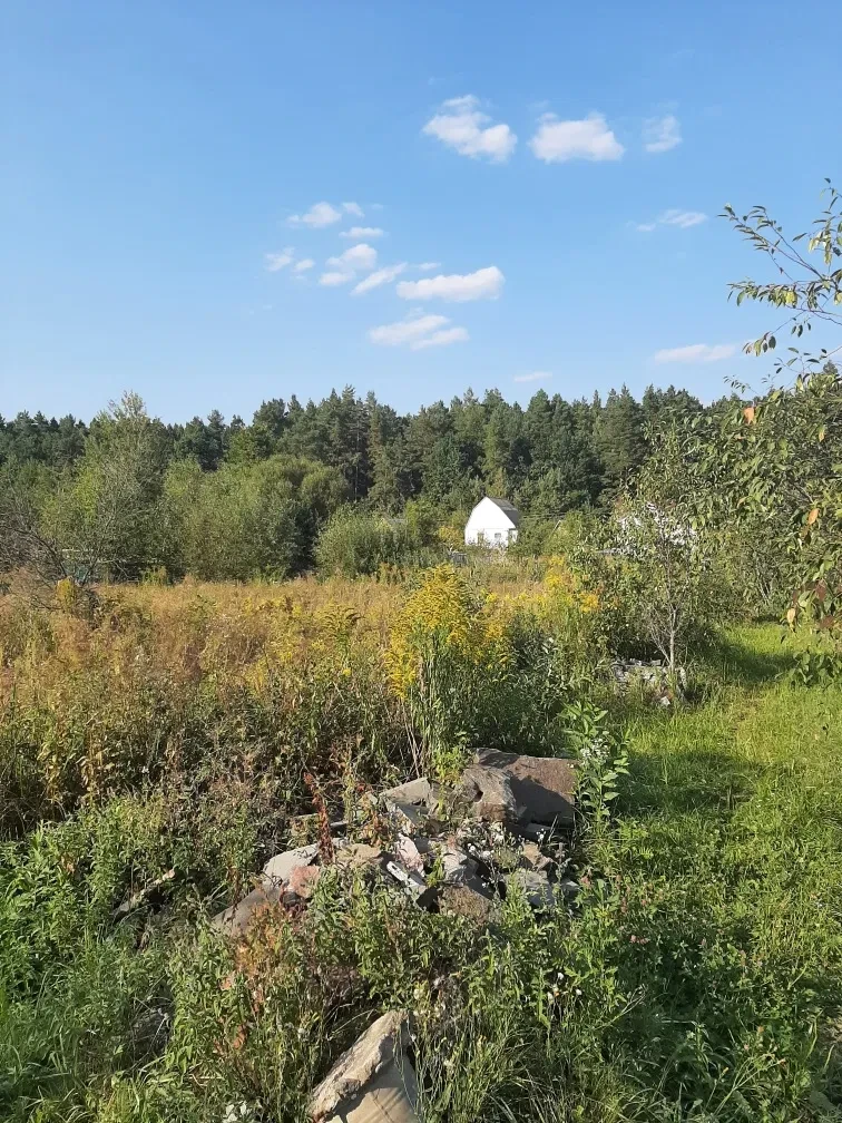 Ділянка 9 соток, Іванівка: під забудову, недалеко ліс - фото 4
