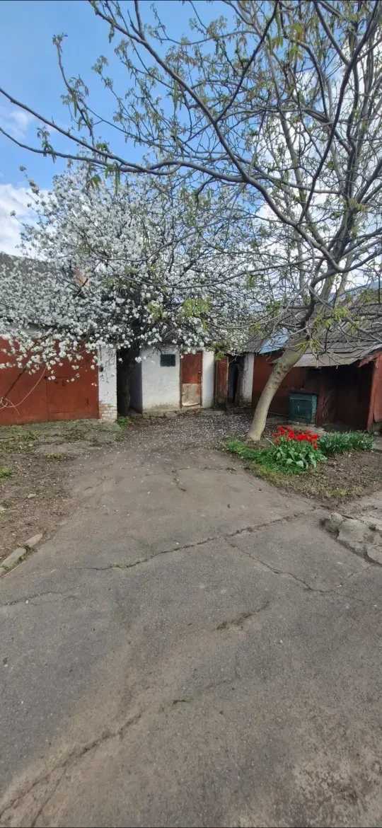 Будинок, Полтава: 4 окремі кімнати, гараж, літня кухня, фото 5