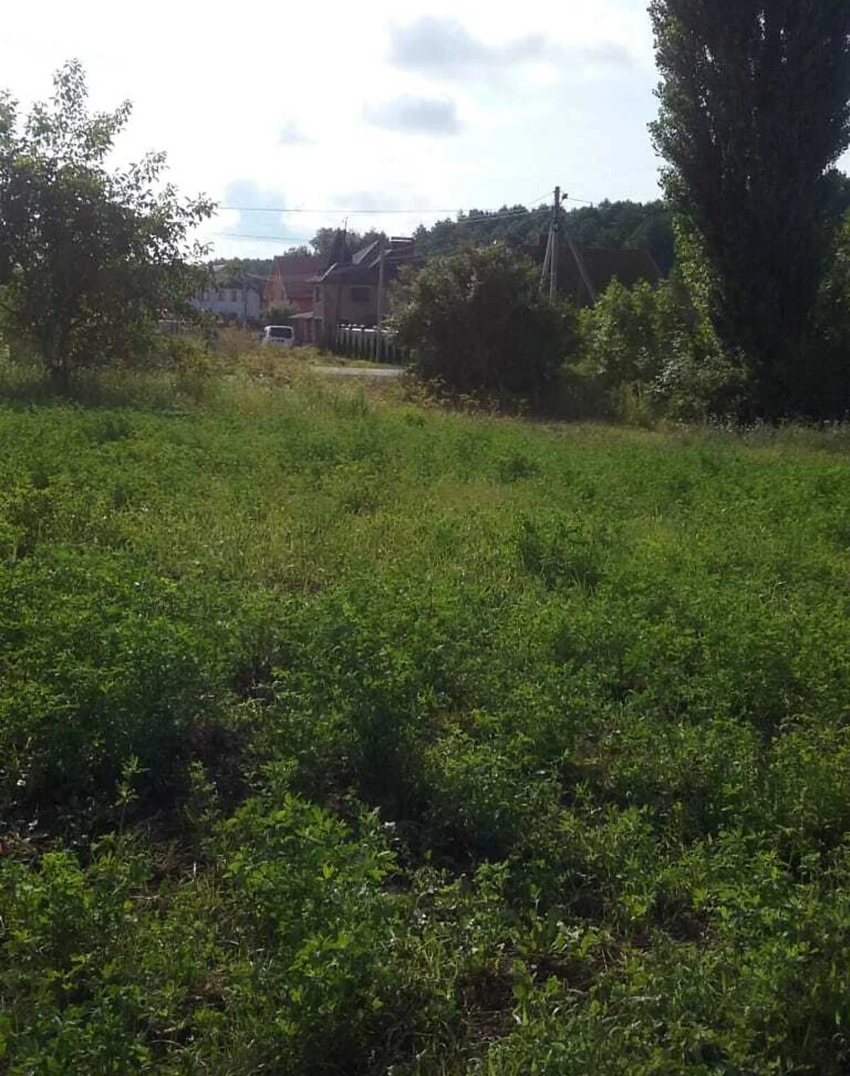 Ділянка 8 соток, Забороль: під житлову забудову, чорнозем - фото 2
