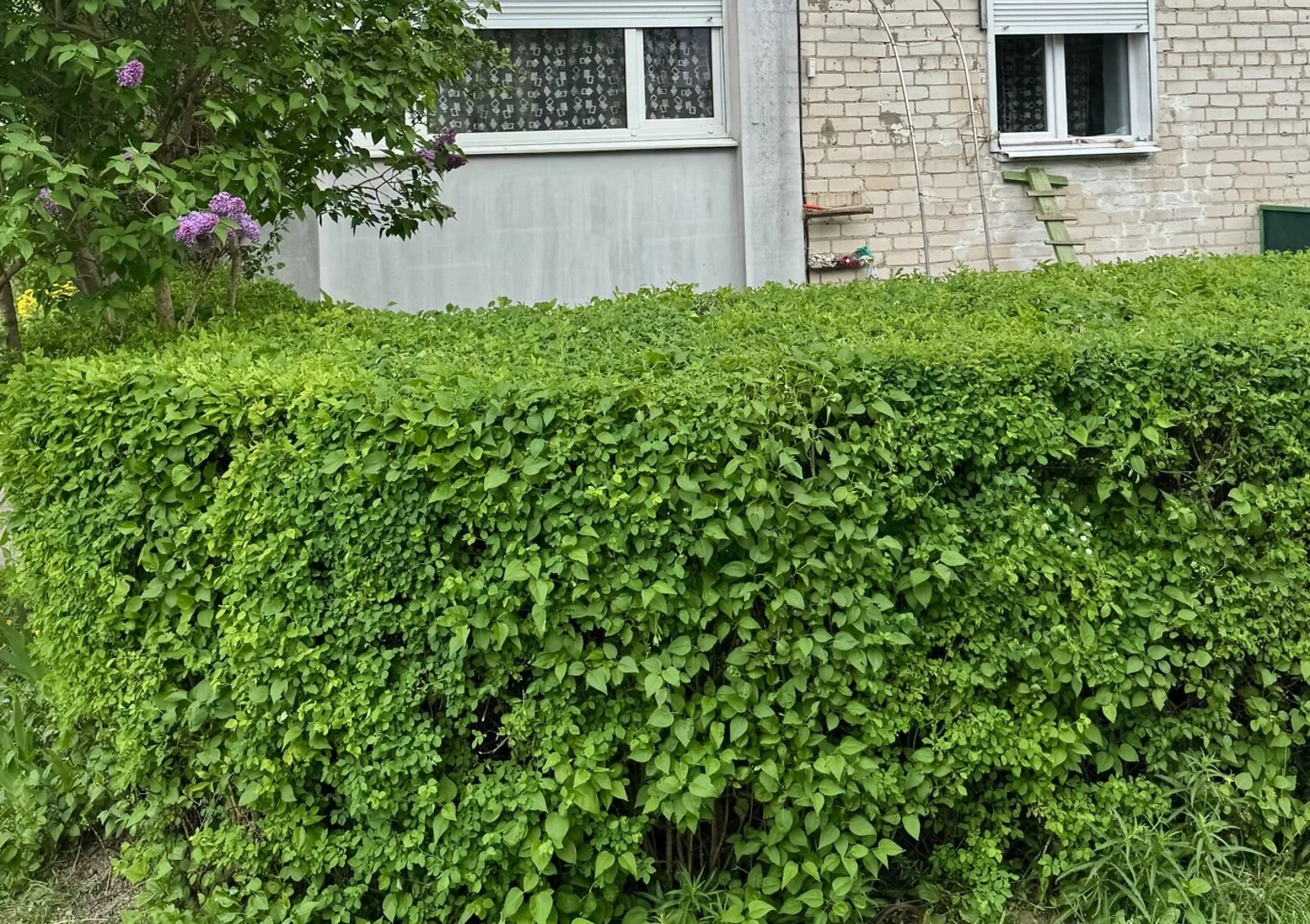 2-кімнатна квартира, Вересневе: автономне газове опалення, цегла - фото 4