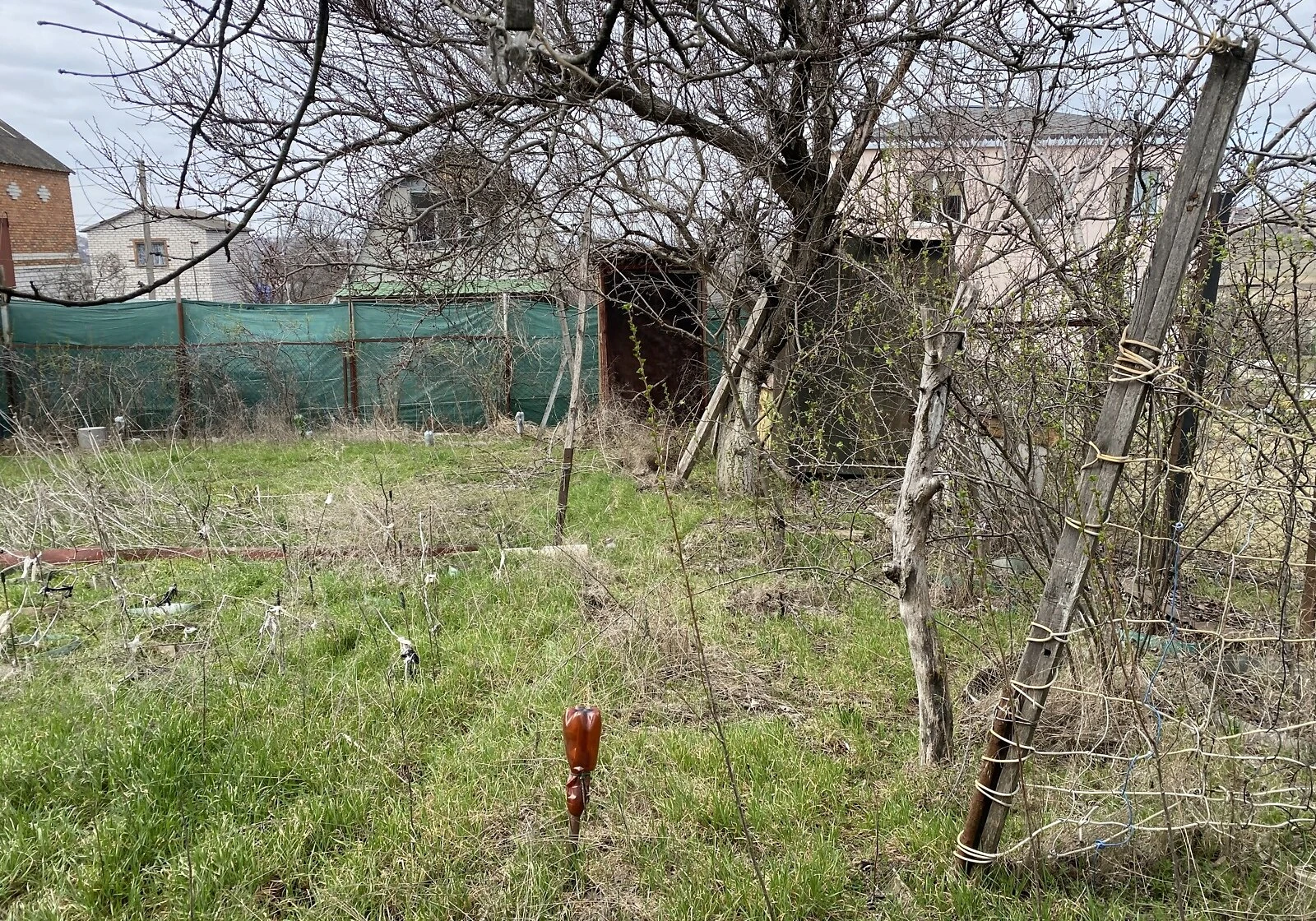 Ділянка 4 сотки, Каравелове: газ і електрика, город і сад, фото 4