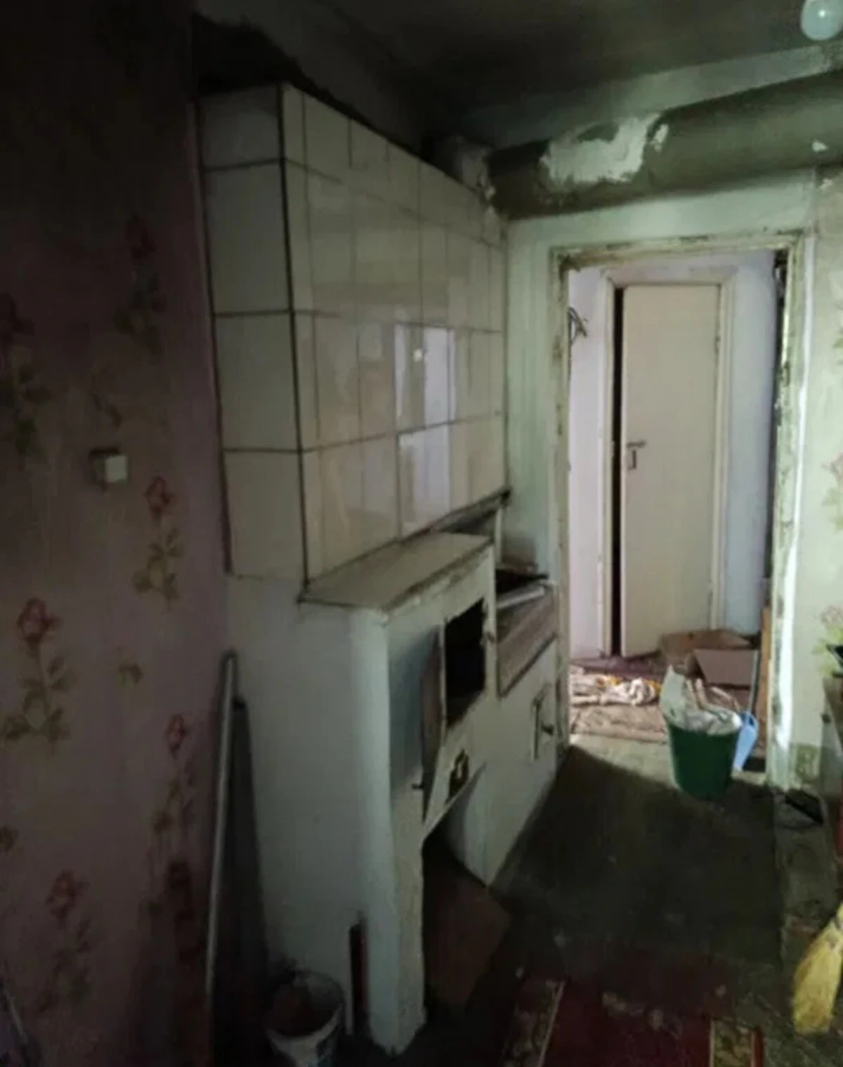1-кімнатна квартира, Благовіщенське: кухня 15 м², фото 5