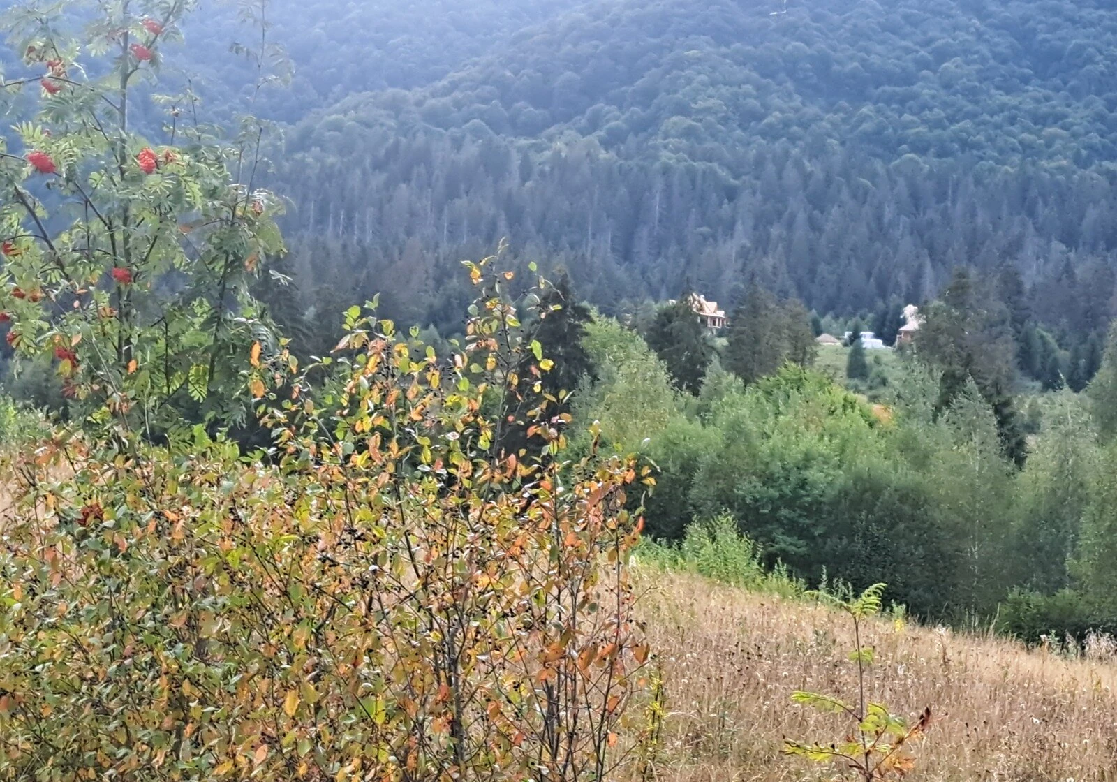 Ділянка 12 соток, Річка: біля гір, торг можливий, фото 4