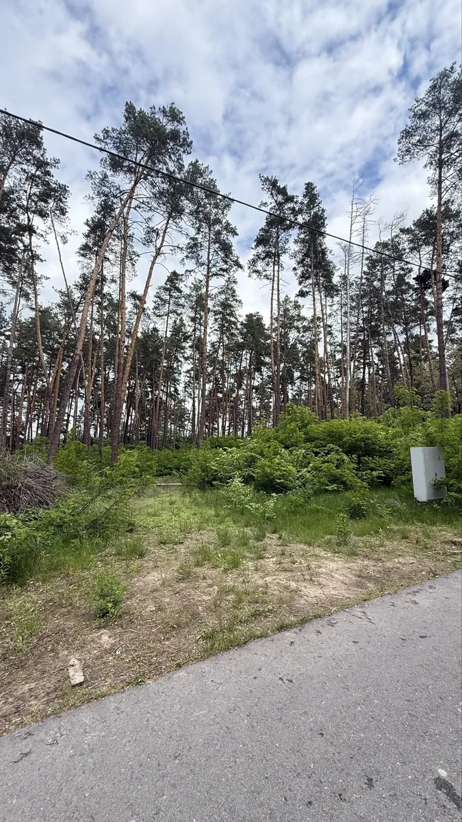 Ділянка 25 соток, Бобриця: дозвільні документи, електрика - фото 4