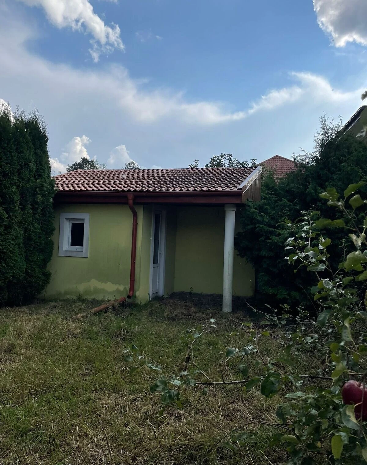 Будинок, Брюховичі: свердловина, гараж у прибудові, барбекю, фото 5