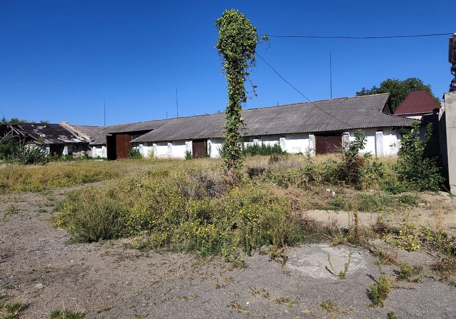 Комерційне приміщення, Подільськ: 11 приміщень, 1.3565 га, переуступка - фото 5