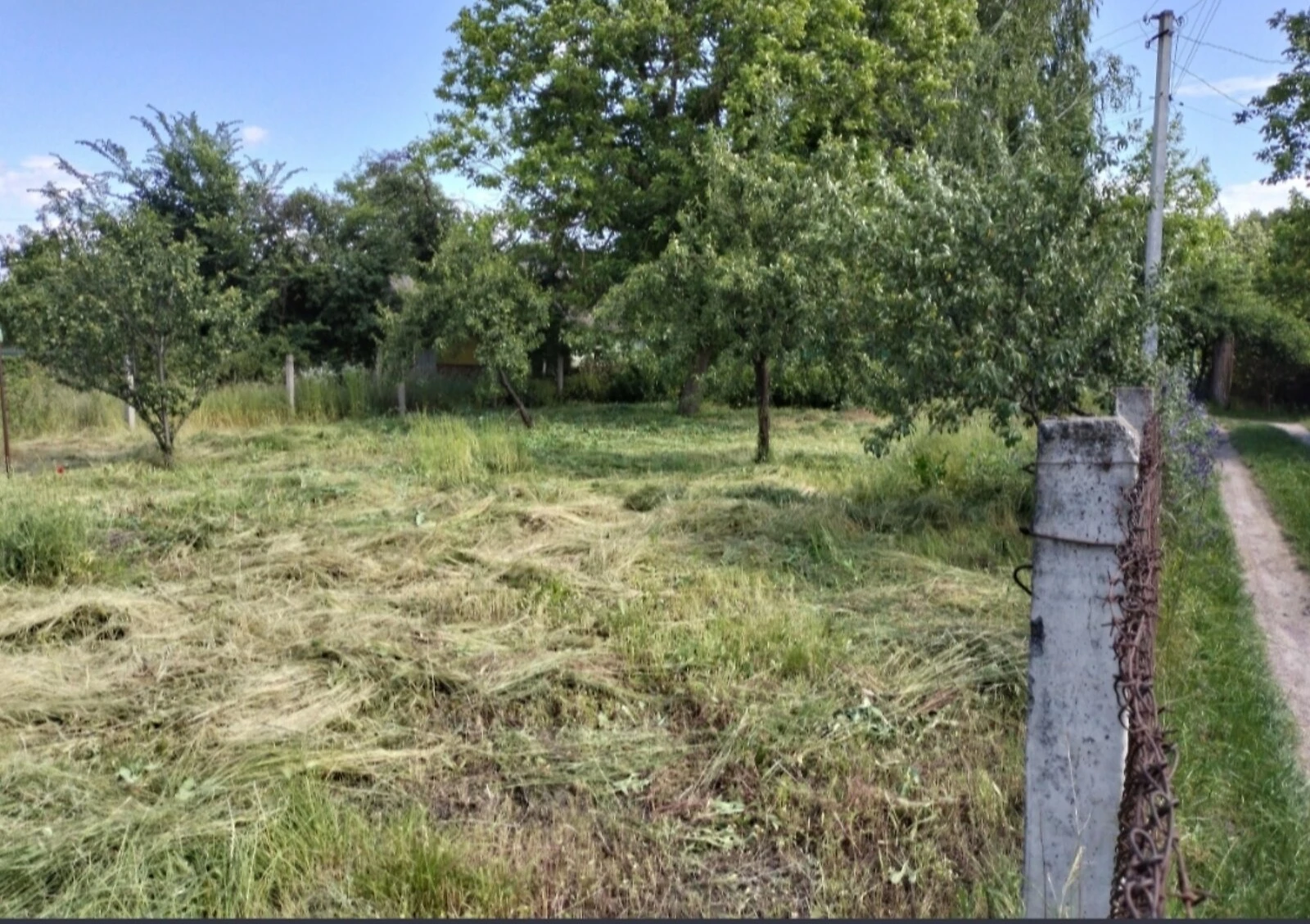 Ділянка 9.53 соток, Черьомушки: криниця, сад і город - фото 4