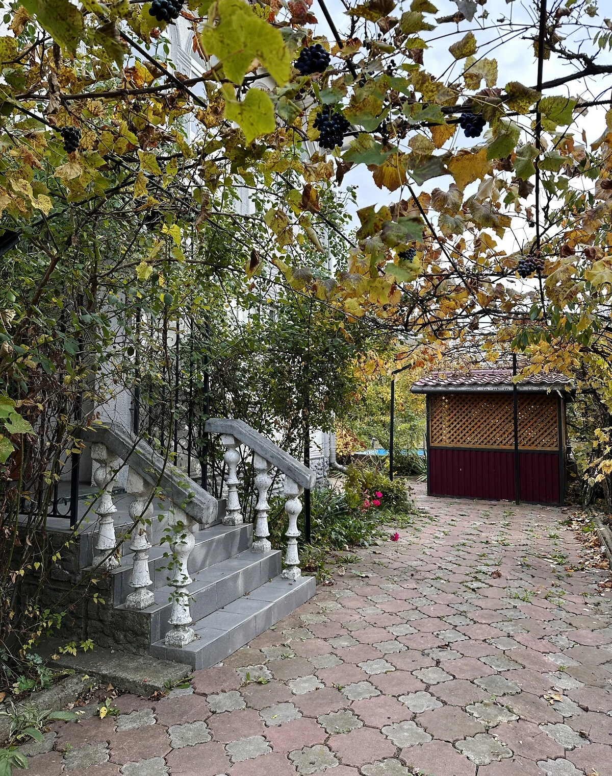 Будинок, Новоселиця: басейн, гараж, альтанка - фото 4