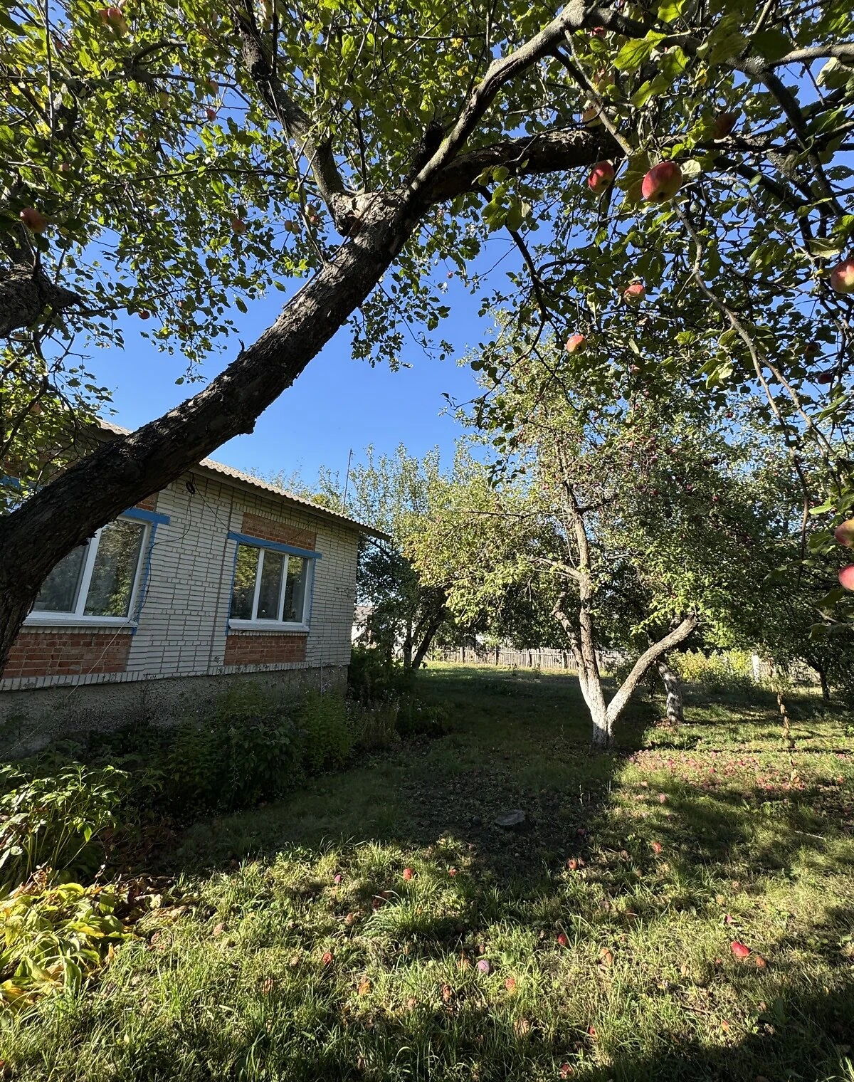 Будинок, Гребениківка: веранда, ділянка 35 соток, фото 2