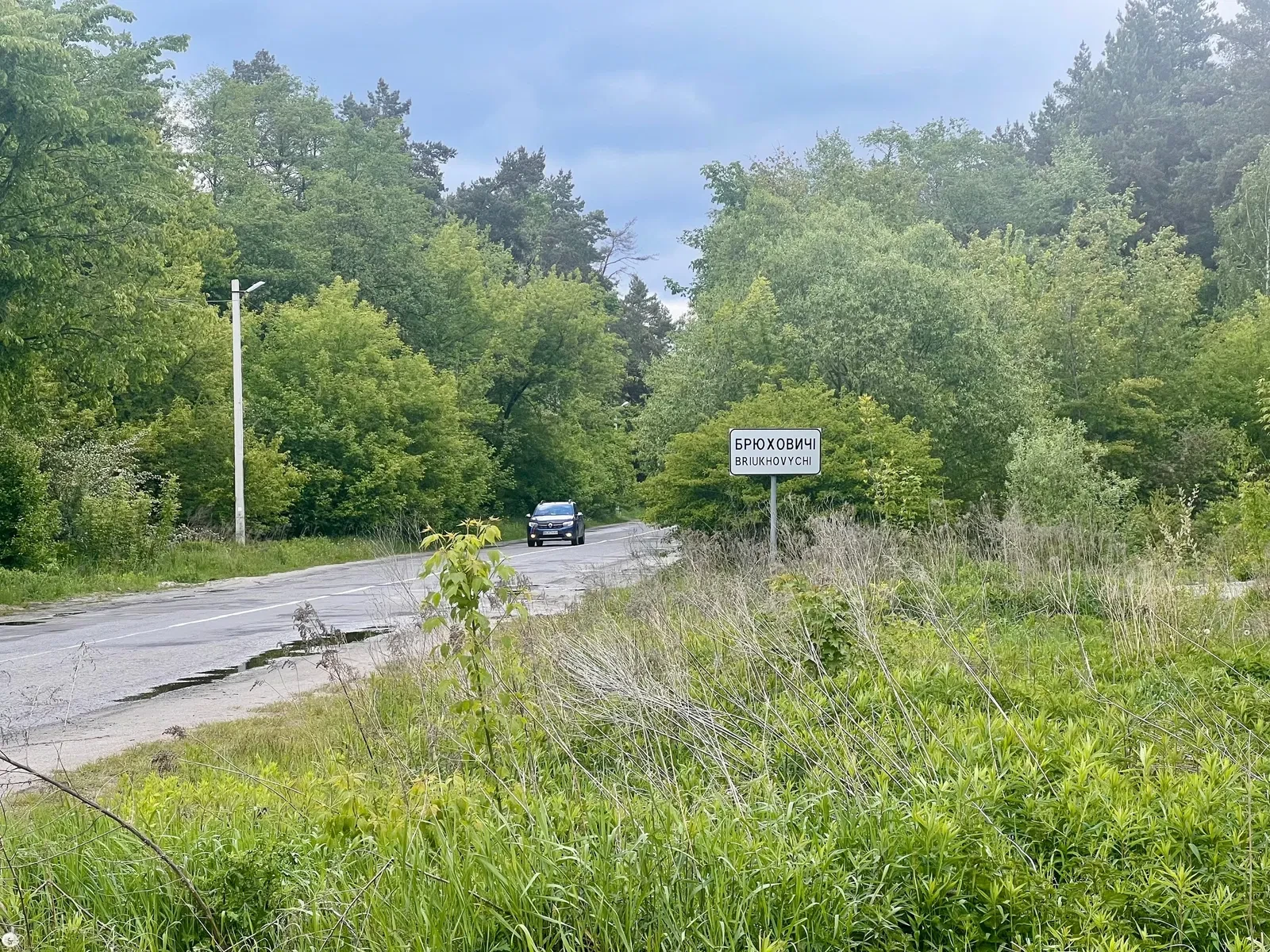 Ділянка 6 соток, Брюховичі: електрика, під садівництво, фото 3