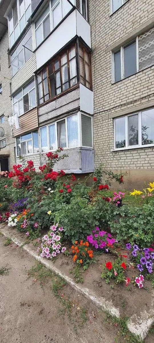 3-кімнатна квартира, Дачне: газове опалення, станція Дом Отдиха за 2 хв - фото 2