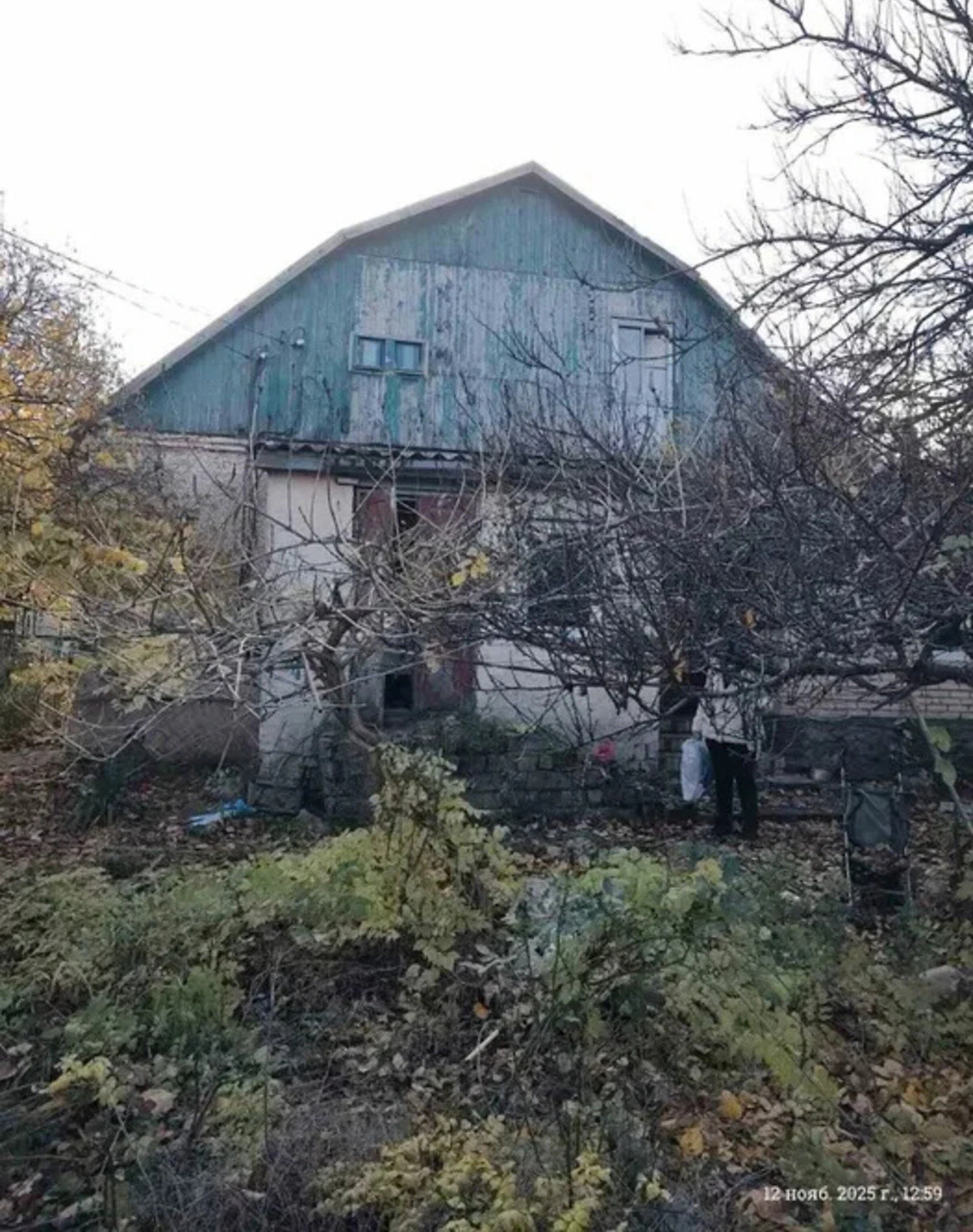 Будинок, Олександрівка: цегляні стіни, сад і город, фото 5