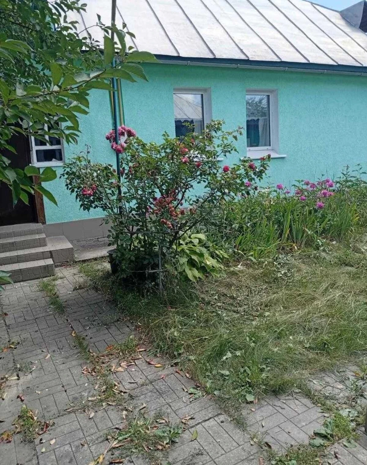 Будинок, Качанове: ділянка 60 соток, гараж у дворі - фото 2
