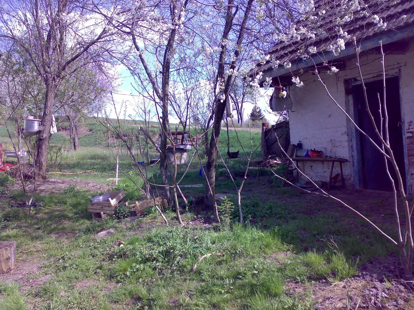 Будинок, Ольшана: 30 соток, обмін, поруч ліс, фото 3