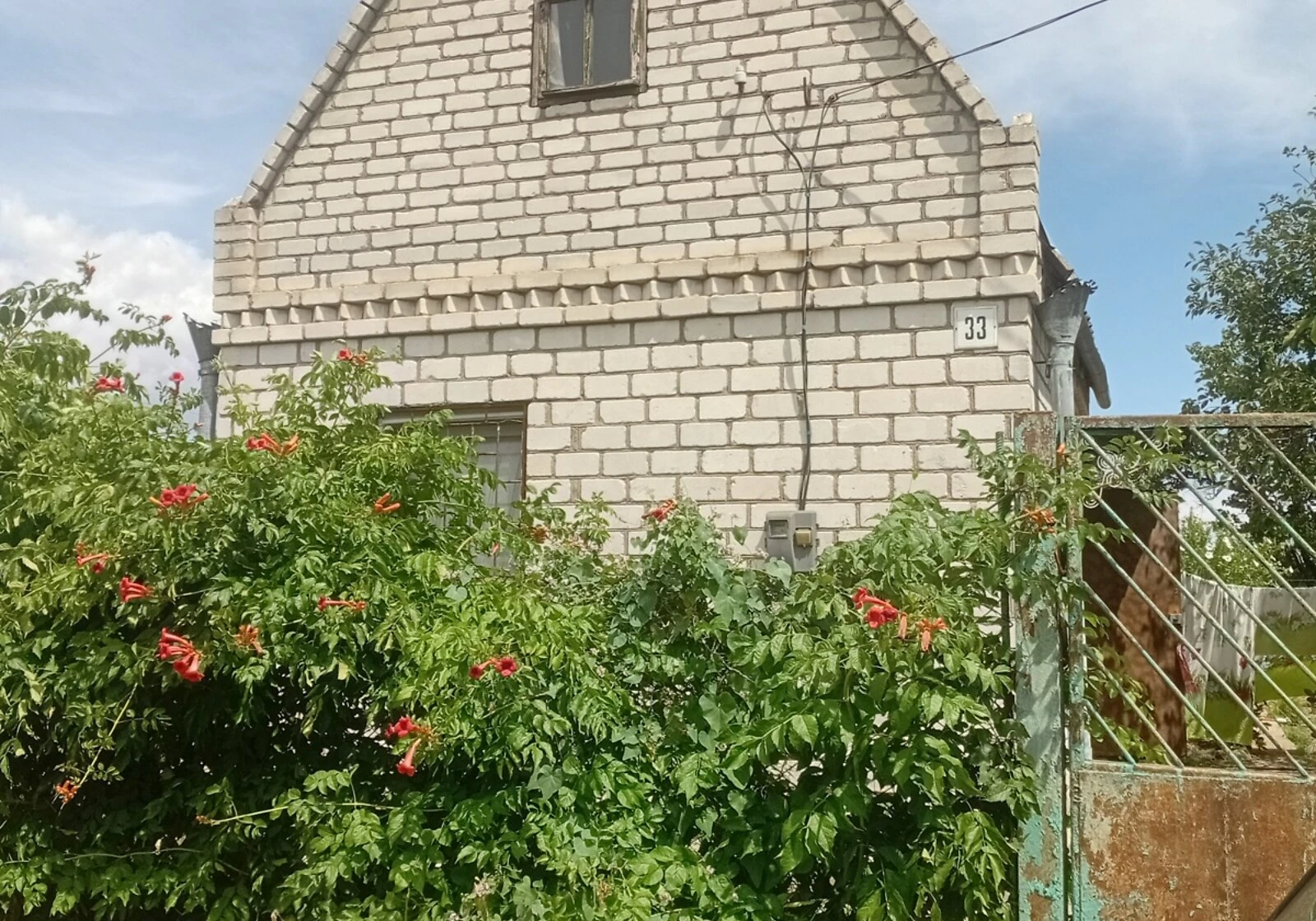 Дача, Стара Богданівка: бесідка, свердловина, сад, фото 5