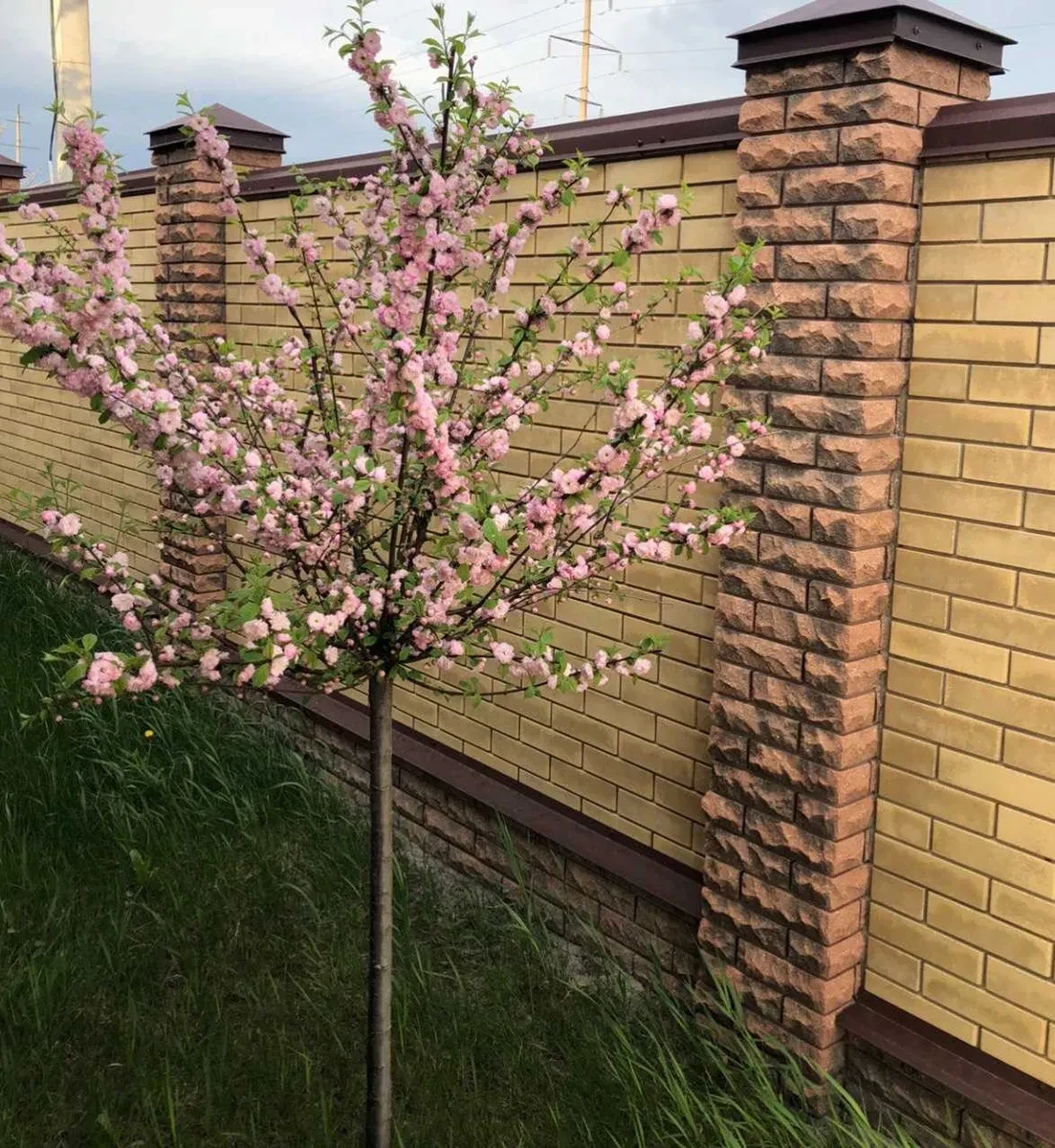 Участок 15 соток, Родичи: гостевой дом, парковка на 4 авто, фото 5