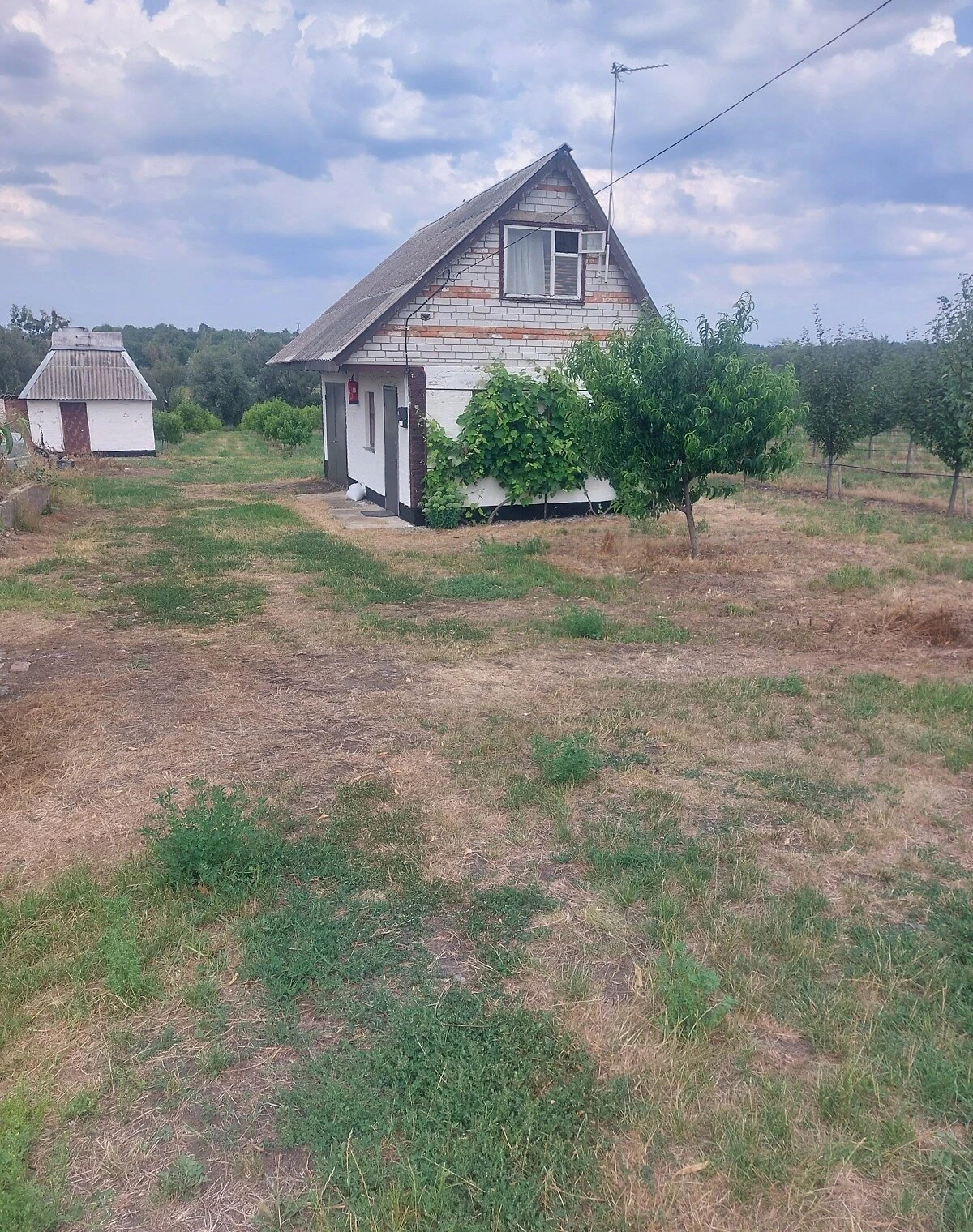 Спеціальне приміщення, Сигнаївка: діючий бізнес, ділянка 2.5 гектара - фото 3