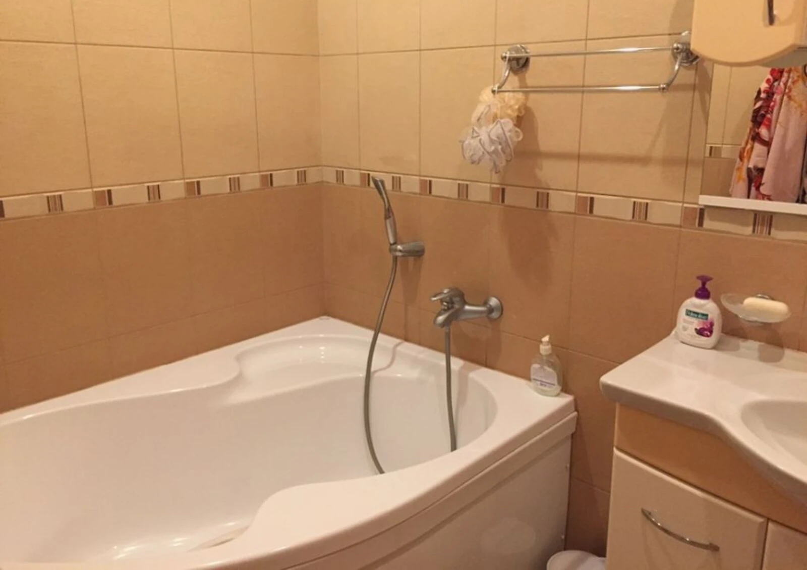 Дом, Запорожье: гараж с подвалом, ландшафтный дизайн, джакузи, фото 5