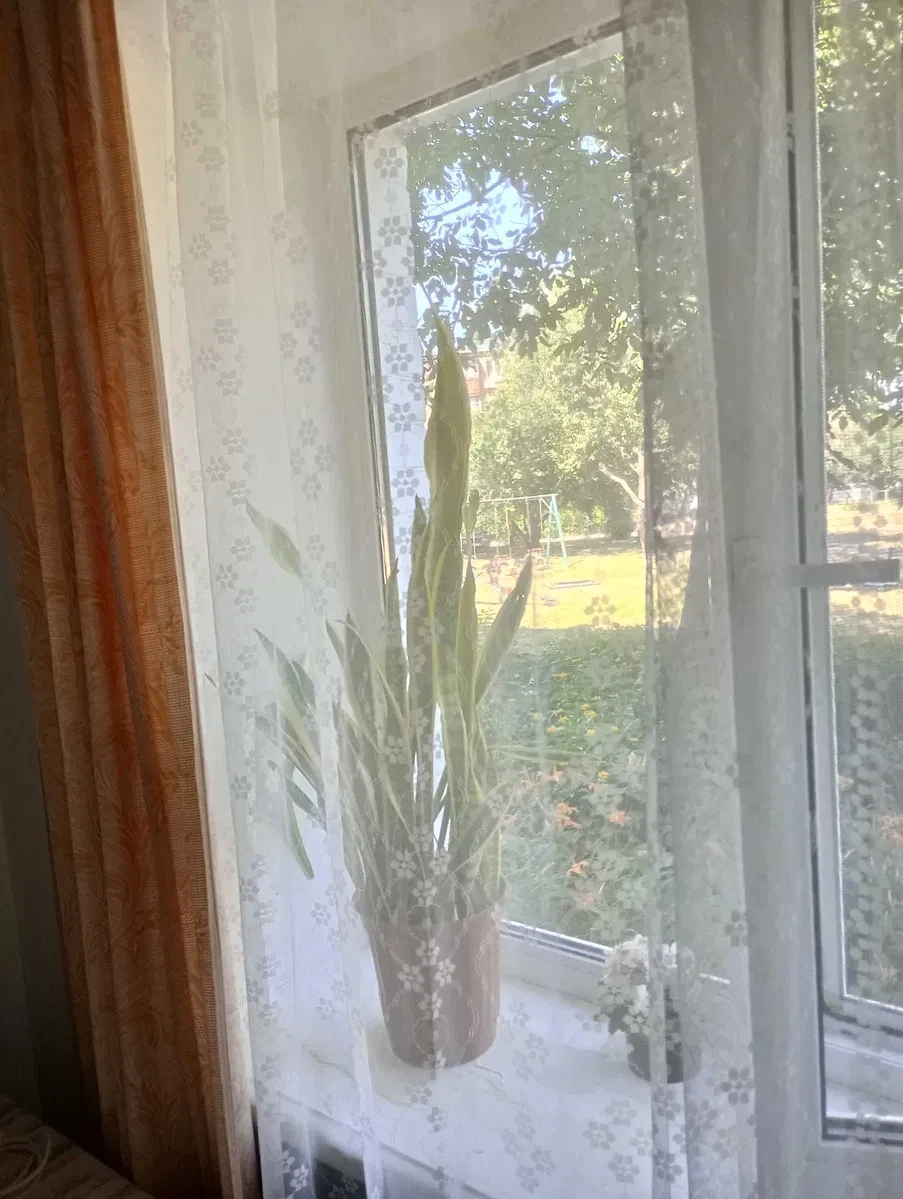 2-кімнатна квартира, Сміла: роздільний санвузол, цегляний будинок - фото 2