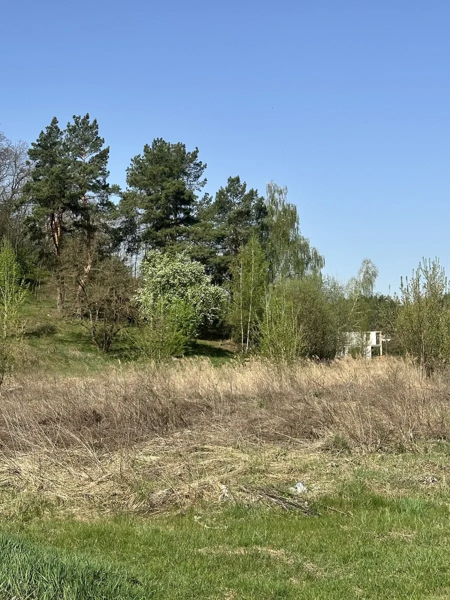 Ділянка 5 соток, Ходосівка: ліс за 20 м, світло поруч, фото 5