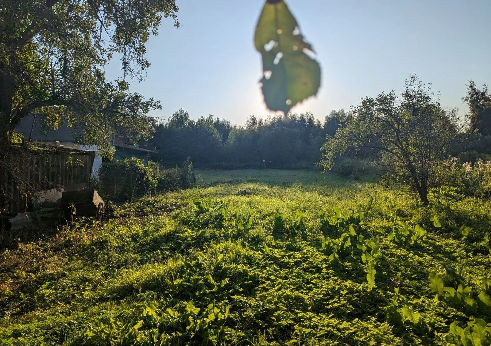 Участок 20 соток, Звягель: под жилую застройку, под гараж, торг - фото 4