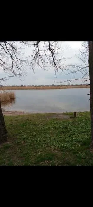 Ділянка 9 соток, Новоселівка: перша лінія до річки, світло і вода - фото 3