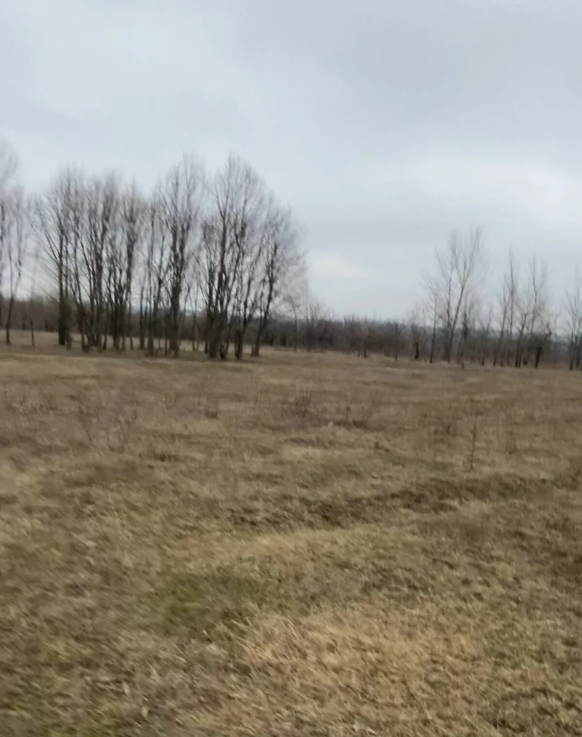 Ділянка 9.39 соток, Новокодацький: під житлову забудову, під гараж - фото 3