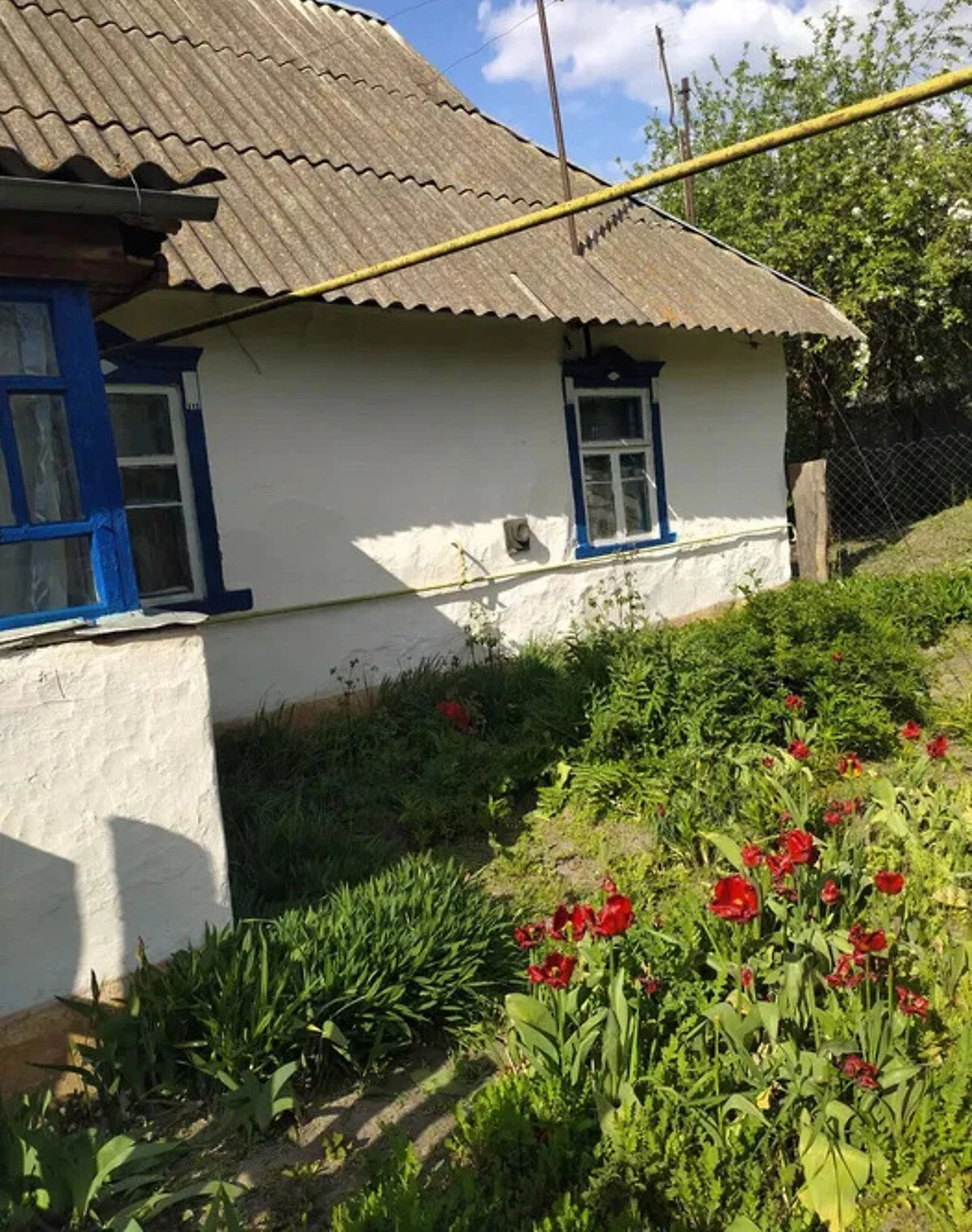 Будинок, Болячів: ділянка 65 соток, газове опалення, криниця - фото 3
