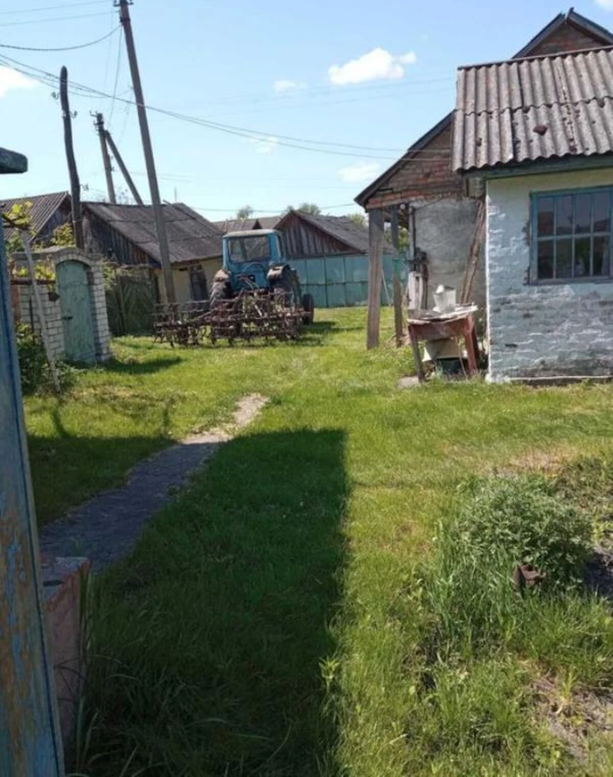 Зрубний будинок у Крутах: криниця, сад і господарські будівлі - фото 5