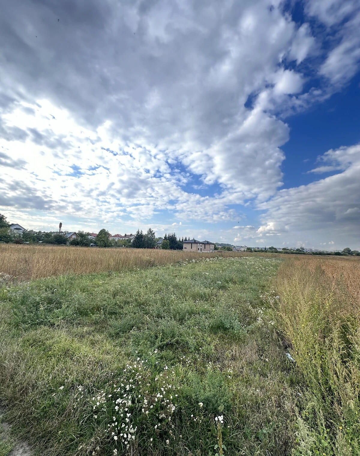 Ділянка 10 соток, Петриків: під житлову забудову, електрика - фото 2