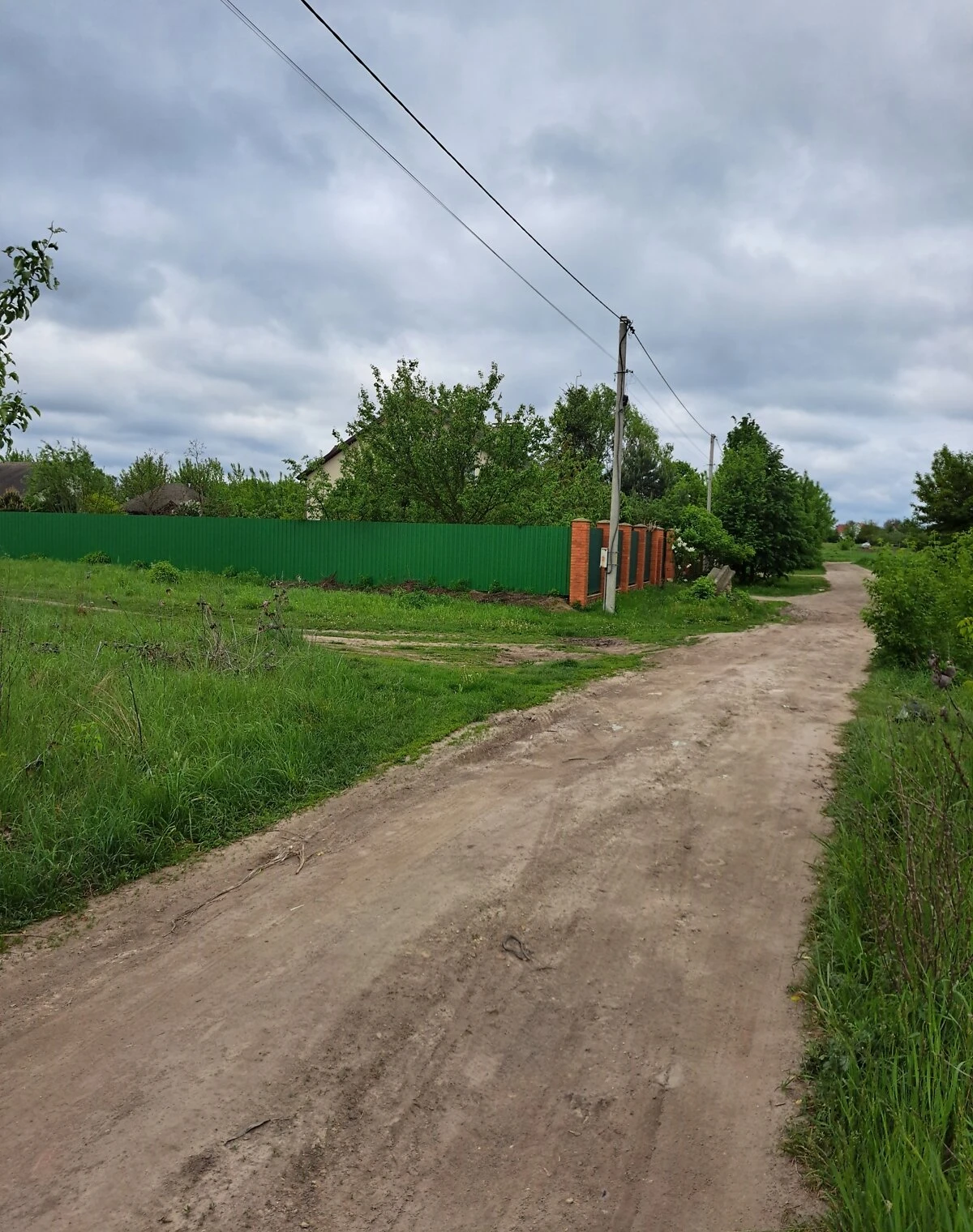 Ділянка 26 соток, Новосілки (Макарів): під житлову забудову, сад - фото 3