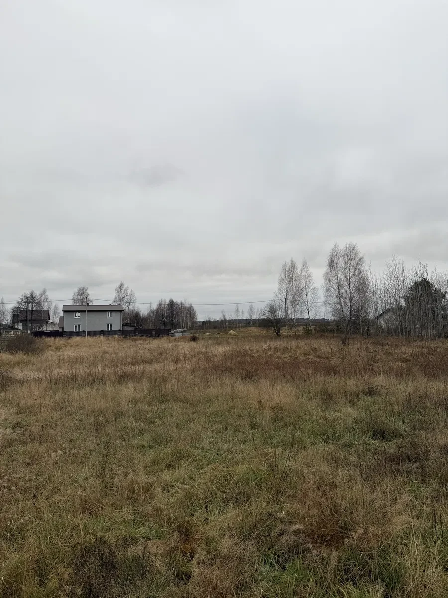 Участок 15 соток, Орловка: газ и свет по улице - фото 2