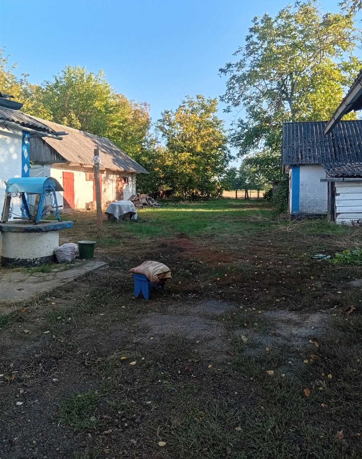 Будинок, Топильна: гараж із підвалом, літня кухня, фото 3