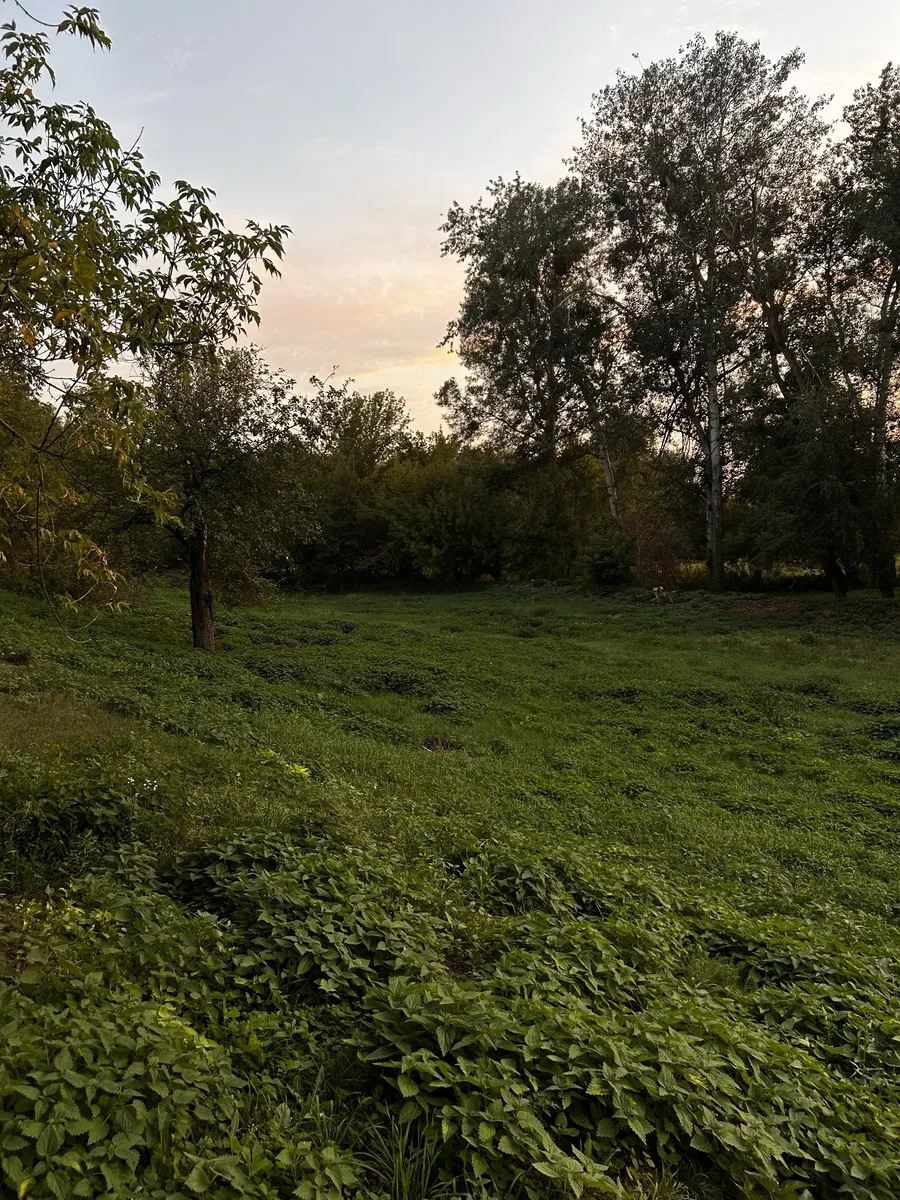 Ділянка 86 соток, Старі Безрадичі: житлова й суспільна забудова - фото 2